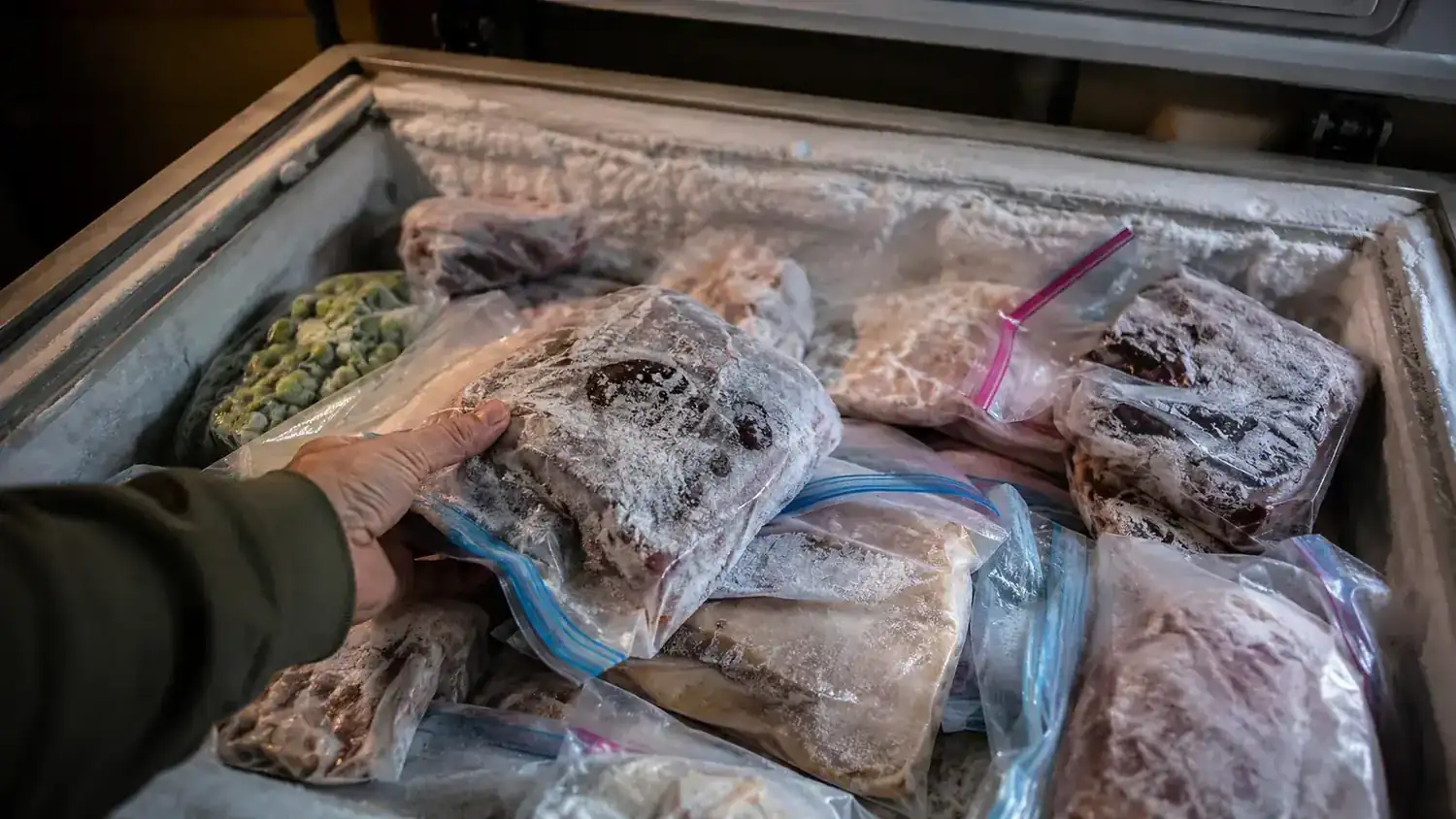 A freezer drawer full of frost-covered, freezer-burned bags of meat and bread